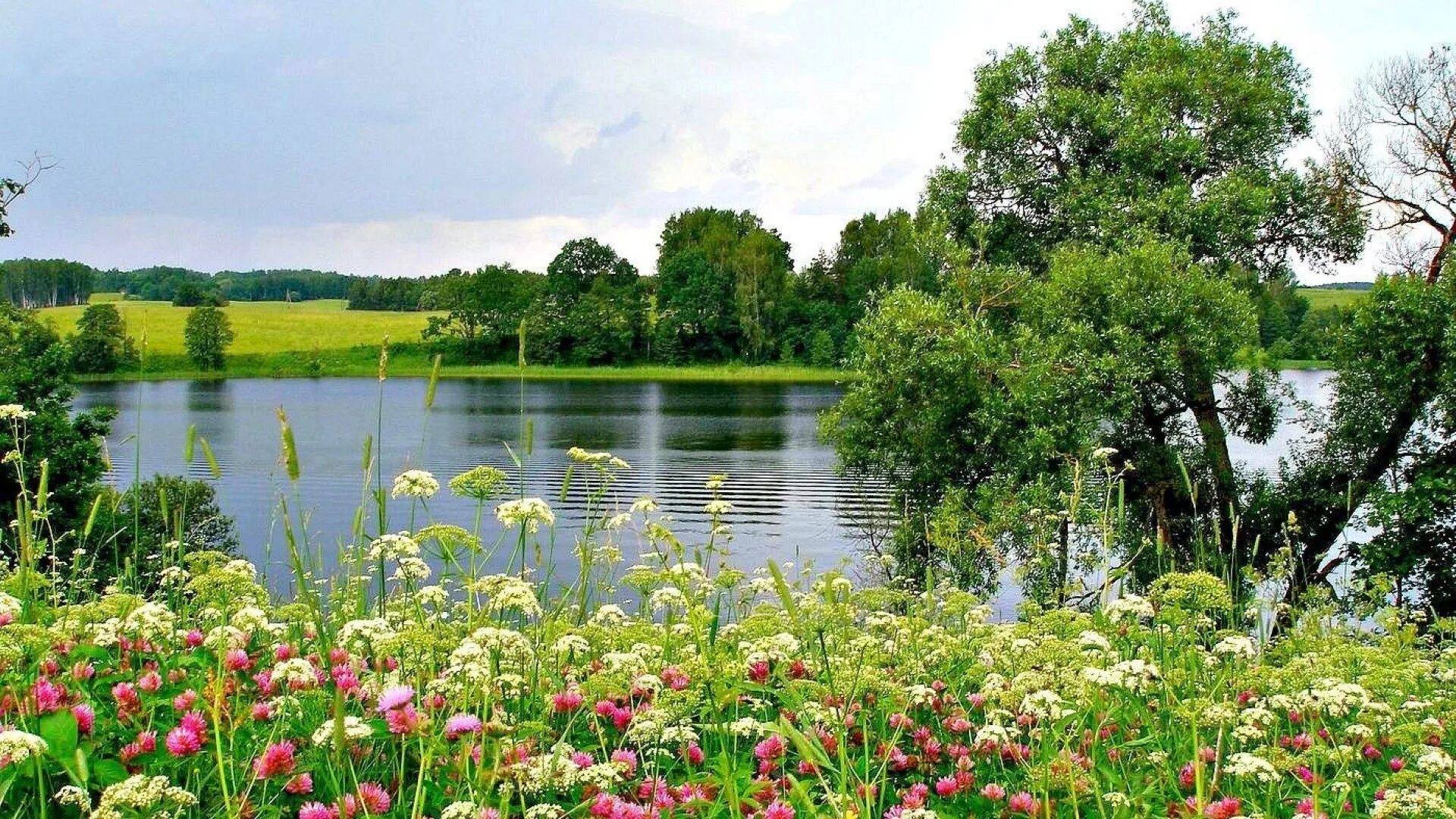 Лето, ах лето