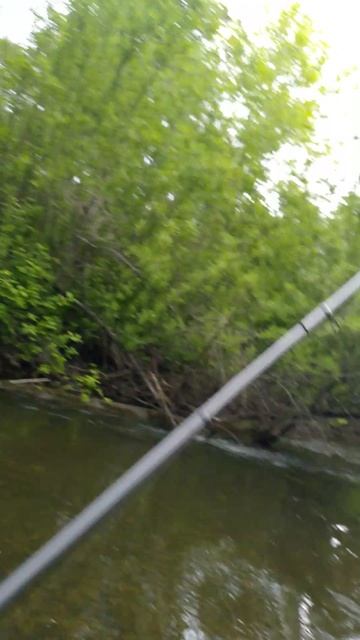 Рыбалка на Хариуса на горных речках в хабаровском крае