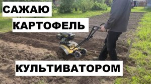 БЫСТРАЯ ПОСАДКА КАРТОФЕЛЯ КУЛЬТИВАТОРОМ