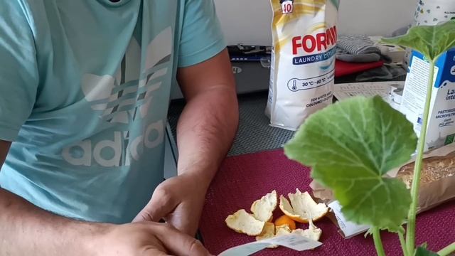 28 апреля 2025 г., вперёд, лодыри, огород ждёт