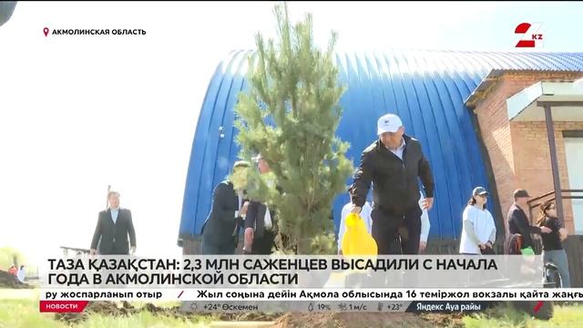 2,3 млн саженцев высадили с начала года в Акмолинской о?
