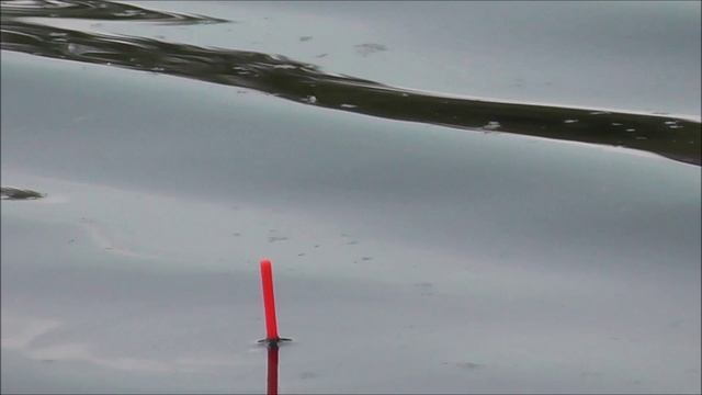 РЫБОЛОВ ИВАНОВИЧ . КАРАСЬ.ОЗЕРО.ПРИРОДА.