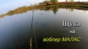 Поймал крупную щуку на воблер МАЛАС