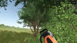 FS 25 - Альма, Миссури.  Курятник и 200 КУР.  Запустил ЛЕСОПИ