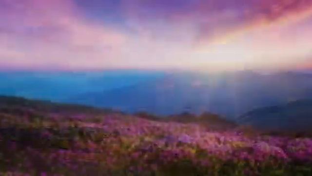 Если душа сложила крылья