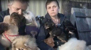 Запись стрима 6 июня