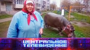 «Центральное телевидение». Выпуск от 7 июня 2025 года