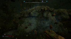 Заначка неизвестного на затоне на камнях S.T.A.L.K.E.R. 2: Heart