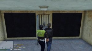 СЕЛЬСКОЕ ХОЗЯЙСТВО GTA 5 LSPDFR №9 (РУССКАЯ ПОЛИЦИЯ ДПС)