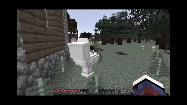 Деревенский житель из Minecraft поёт «Говновоз» смотреть онлайн