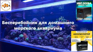 Бесперебойник для аквариума. Энергия Гарант 500
