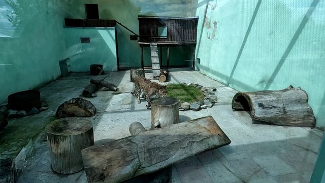 ПЕНЗА 2025 \ ЗООПАРК