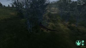 ❗ГАЙД❗КАК УБРАТЬ ЛИСТВУ БЕРЕЗЫ В THE ISLE?❗