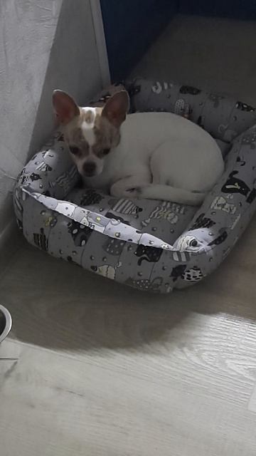 Уже? смотреть онлайн