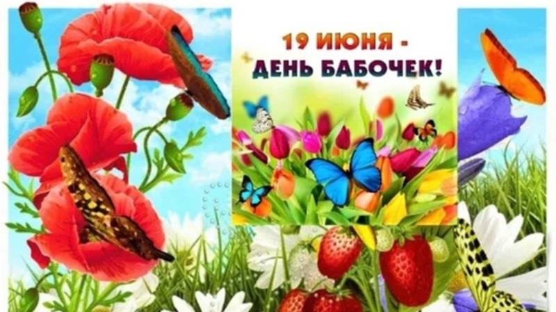 19 июня Всемирный день бабочек смотреть онлайн