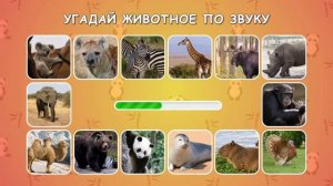 Угадай ЖИВОТНОЕ ПО ЗВУКУ🐯🐈⬛🦊