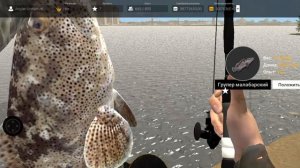 Ловля крупной рыбы в Professional fishing 2🦈