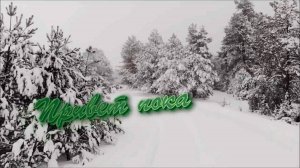 Виталий Пуц - Привет пока...