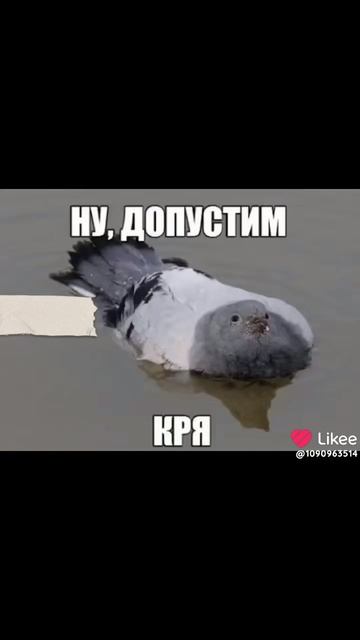 Нате что то смотреть онлайн