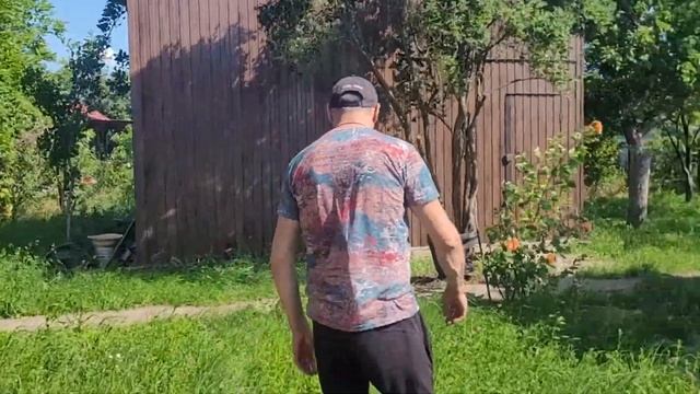 Наша дача, САД и ОГОРОД. #архипка #архипкаонлайн #архипоосиповка #сад #садовод #садоводство смотреть онлайн