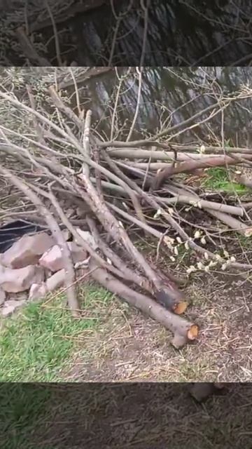 РАСПИЛИВАНИЕ