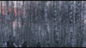 Ты прости меня, Мам