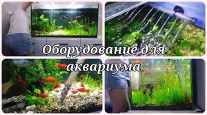 ОБОРУДОВАНИЕ ДЛЯ АКВАРИУМА💧ДОМАШНИЙ АКВАРИУМ💧СОДЕРЖАНИЕ АКВАРИУМА