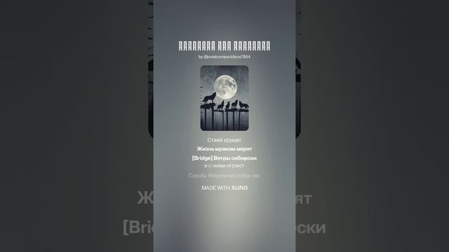 Бродячие псы Барнаула