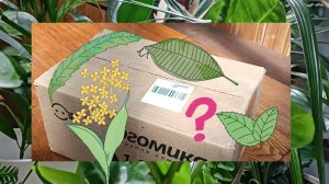 Волнительная распаковка посылки с домашними цветами. Что же я всё-таки заказала ?