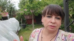 Опять все спасаю. Как вырастить сад на болоте. Готовлю фаршированные перчики. Жизнь семьи в деревне.