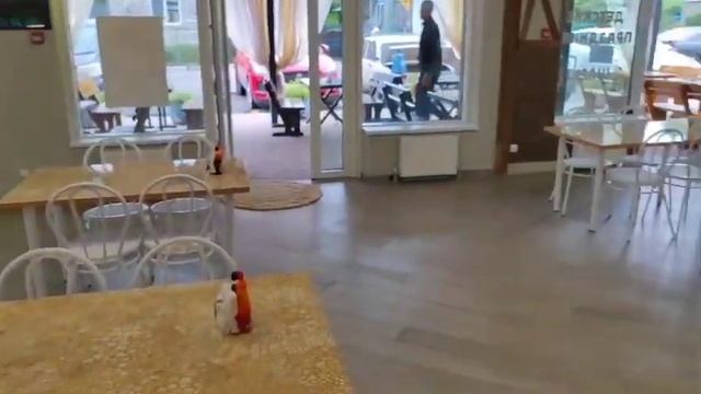 Архипо-Осиповка 2024 ️Цены в столовой Архипка#архипка #архипкаонлайн #архипоосиповка #travel смотреть онлайн