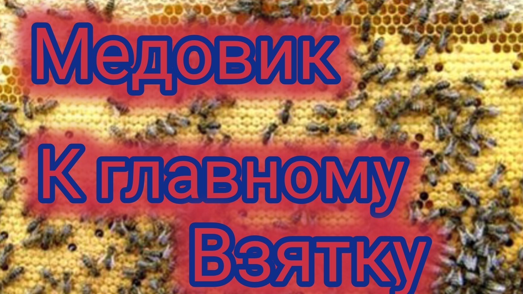 Медовик к главному взятку смотреть онлайн