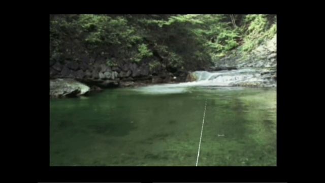 Dreamcast осмотр #16 - Fish Eyes Wild смотреть онлайн