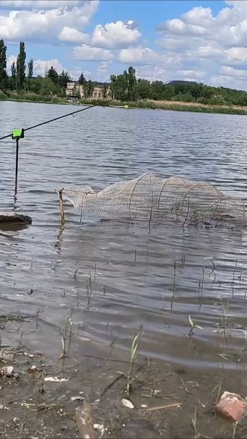 Жор карася летом смотреть онлайн
