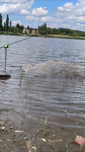 Жор карася летом