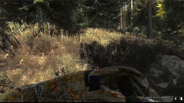 Услышать крик вапити. Карта: Timbergold Trails смотреть онлайн