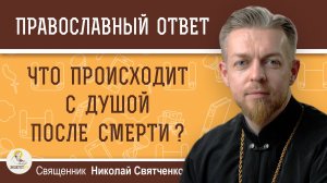 Что происходит с душой после смерти ? Священник Николай Святченко