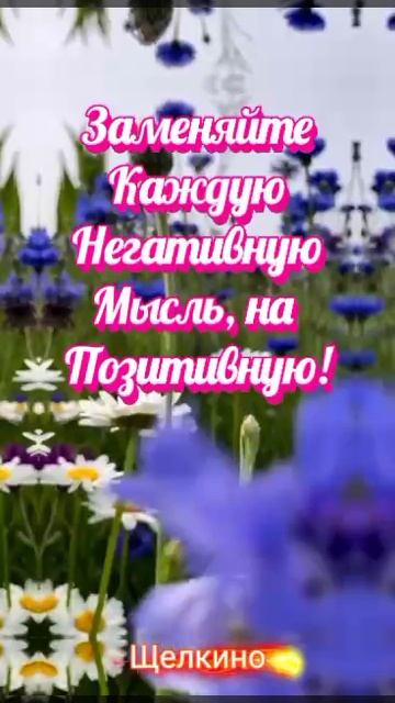 Доброе утро. Чудесного дня. ВидеоОткрытка смотреть онлайн