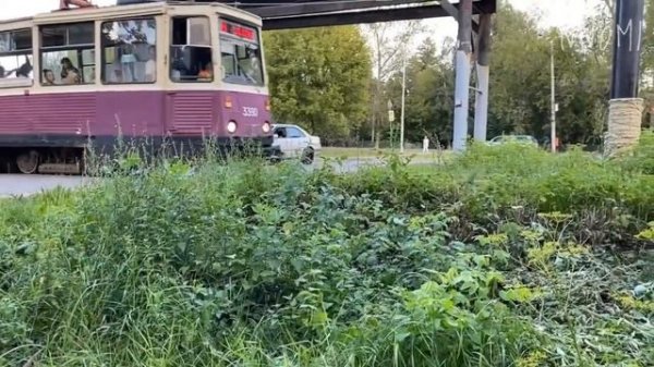 Поднебесный Doomer [edit]