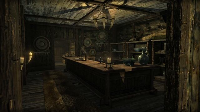 The Elder Scrolls V: Skyrim. Предки и данмеры. Аудиокнига 📙🎧