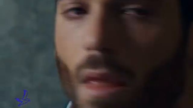 Импровизация #canyaman #violacomeilmare