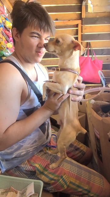 Архипо-Осиповка 2024 ГОРА СОБАЧКА #архипка #архипоосиповка #travel #архипкаонлайн смотреть онлайн