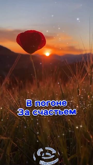 Чудесного утра всем. Доброе утро.ВидеоОткрытка смотреть онлайн