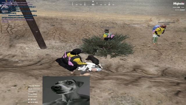 БЛАГОТВОРИТЕЛЬНАЯ СЕМЬЯ НАКОРМИЛА БОБИКА В ГТА РП смотреть онлайн