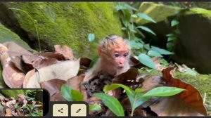 Прежде , чем попасть  к усыновителю новорождённая потерявшаяся ...   1000011434.mp4