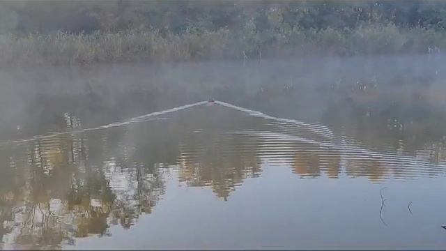 #СУПЕР РЫБАЛКА 2023КРАСНОДАР #рыбалка #ловимрыбу смотреть онлайн