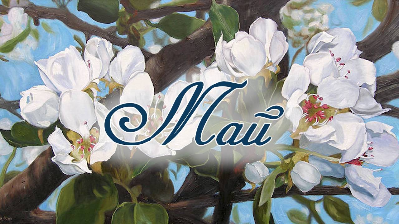 Дайджест - май 2025 года смотреть онлайн