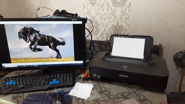 принтер Canon PIXMA Ip2700 для Авито