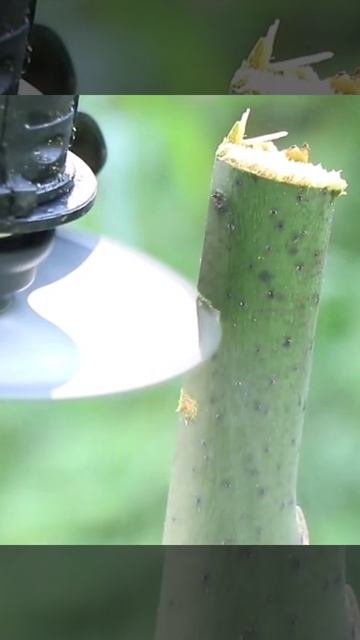 Отпиливание