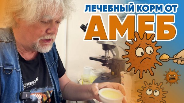 Аквариумные новости с Владимиром Ковалёвым (07.06.2025). Лечебный корм от амеб.